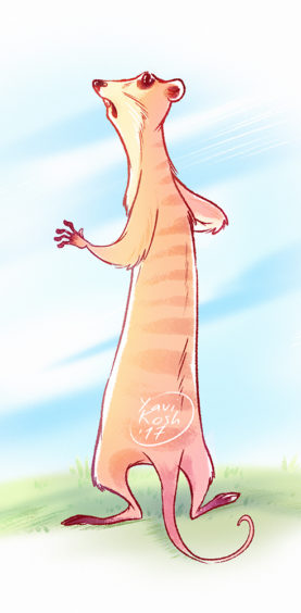 raster sketch with lonely meerkat